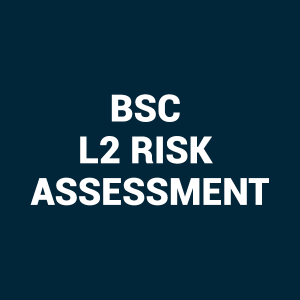 Category BSC L2 Risk Assessment